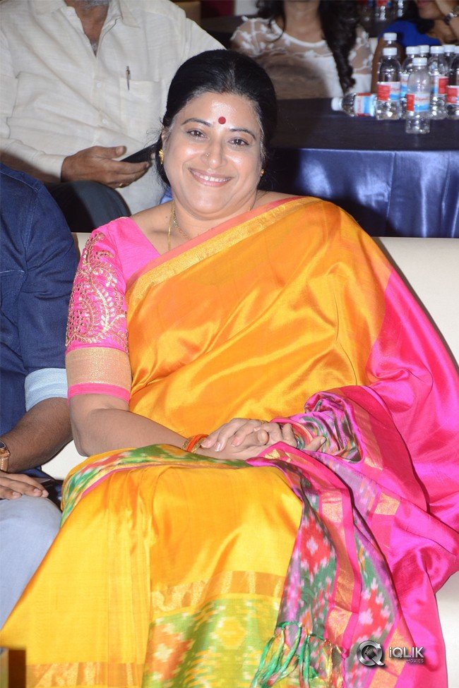 Ammammagarillu-Movie-Successmeet